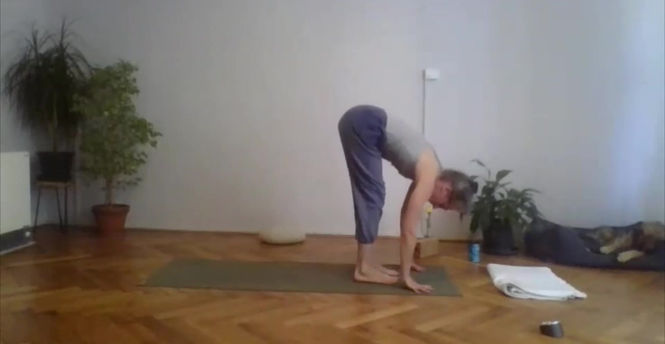 Páteř: úklony II.